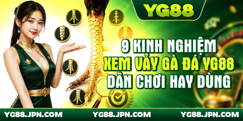 Kinh nghiệm xem vảy gà đá YG88