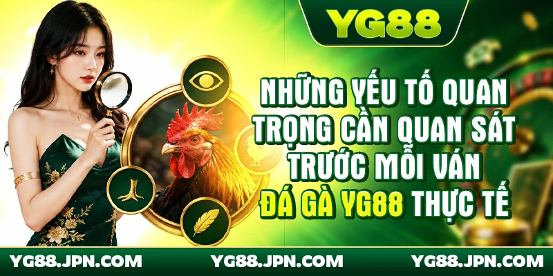 Những yếu tố quan trọng cần quan sát trước mỗi ván đá gà YG88 thực tế