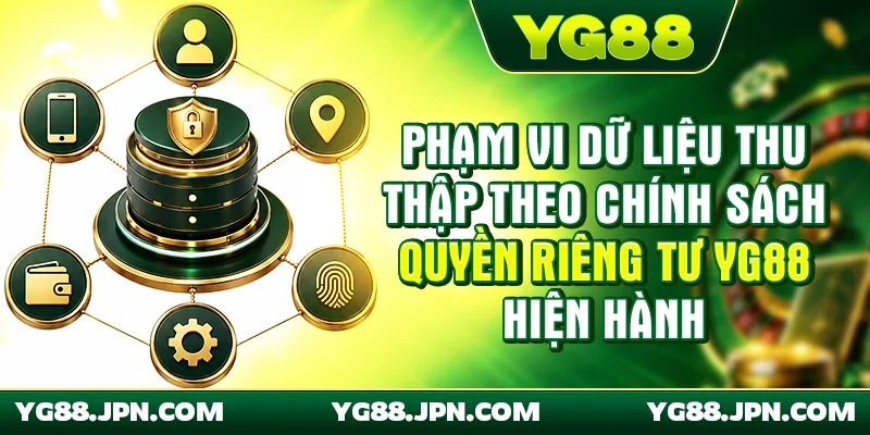 Phạm vi dữ liệu thu thập theo chính sách quyền riêng tư YG88 hiện hành