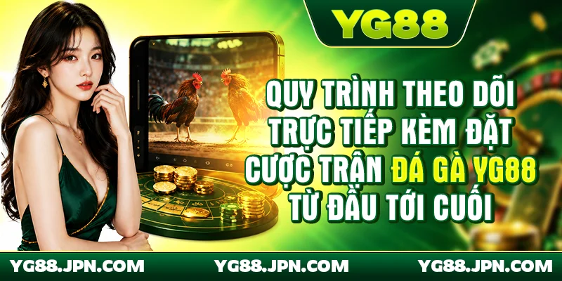 Quy trình theo dõi trực tiếp kèm đặt cược trận đá gà YG88 từ đầu tới cuối