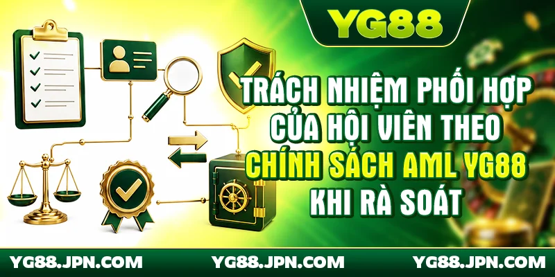 Trách nhiệm phối hợp của hội viên theo chính sách AML YG88 khi rà soát
